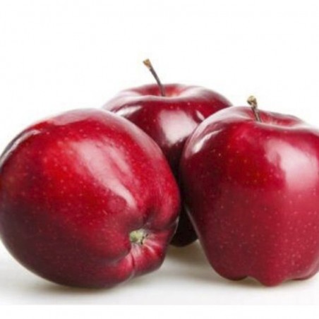 MANZANA RED DELICIUS MEDIANA (ENTRE 69 MM - 72 MM)