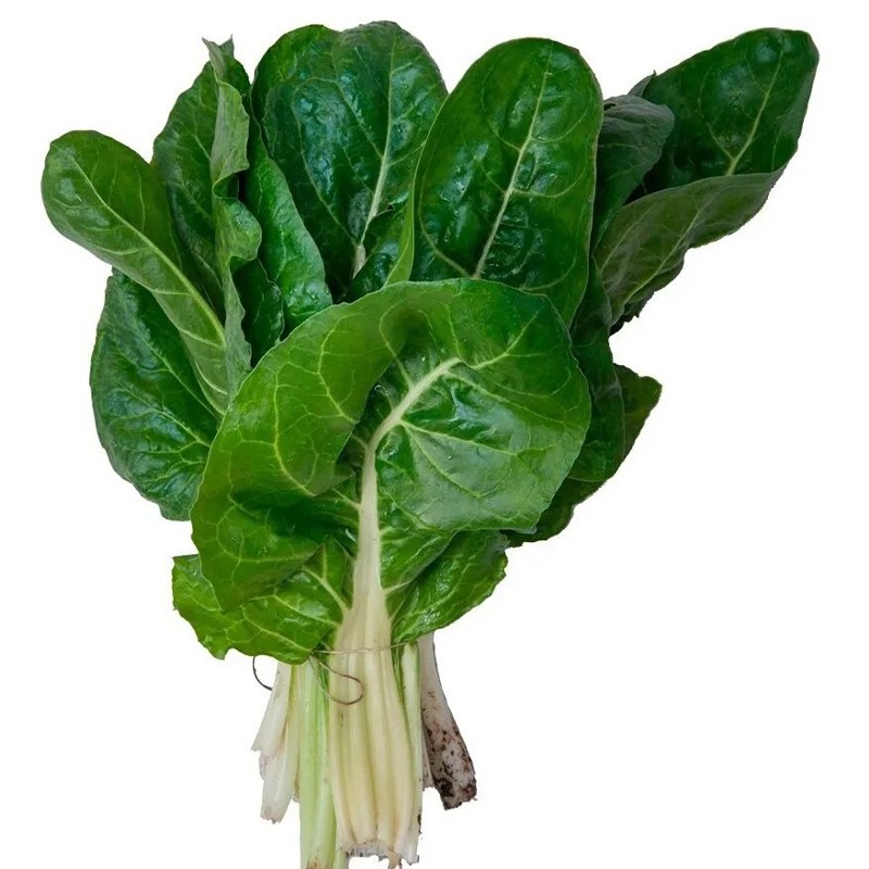 Acelga paquete