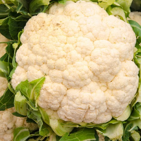 Coliflor unidad