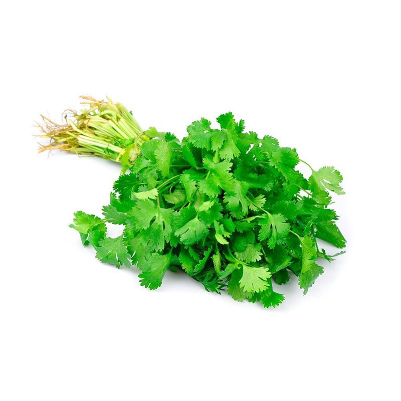 CILANTRO FRESCO PAQUETE APROX. 500 GR UNIDAD