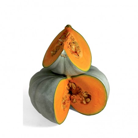 Zapallo 1Kg